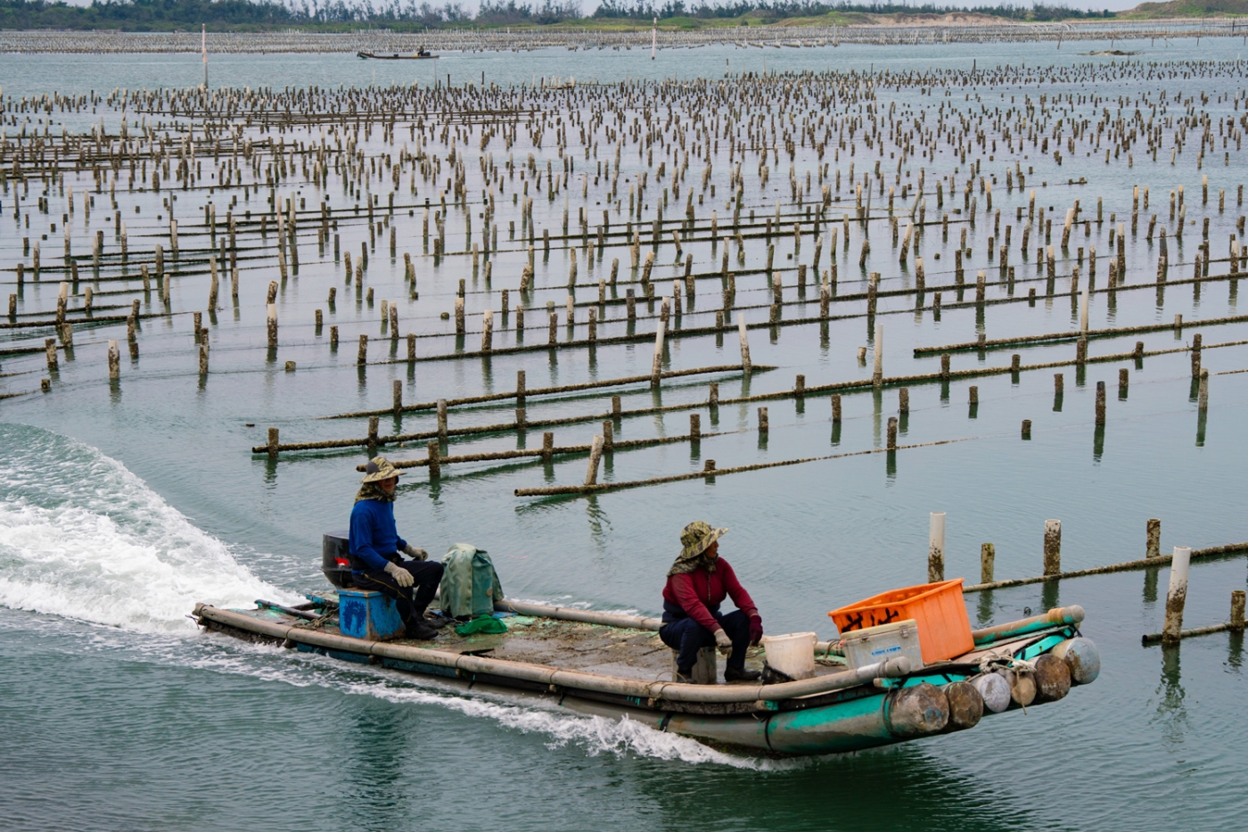 芦竹沟蚵学园区蚵田 Lujugou Oyster Science Park oyster fields
