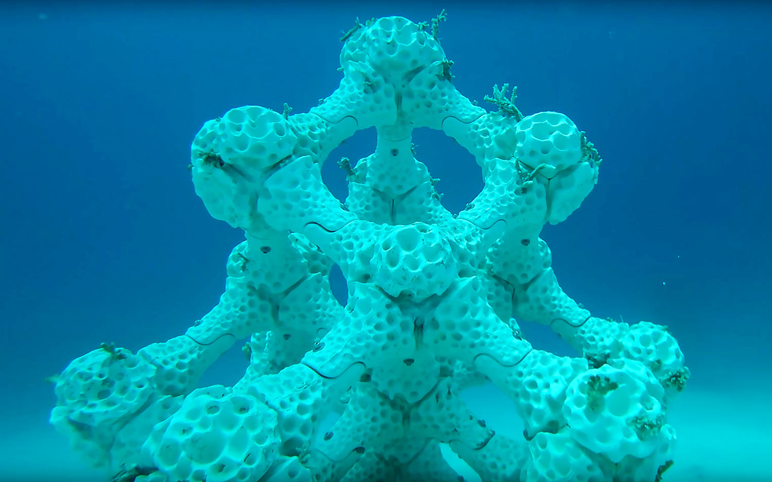 全球最大的3D打印珊瑚礁