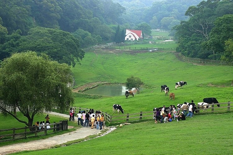 飞牛农场