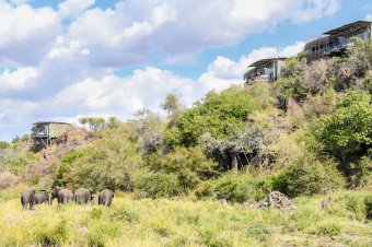 ©Singita Lebombo Lodge